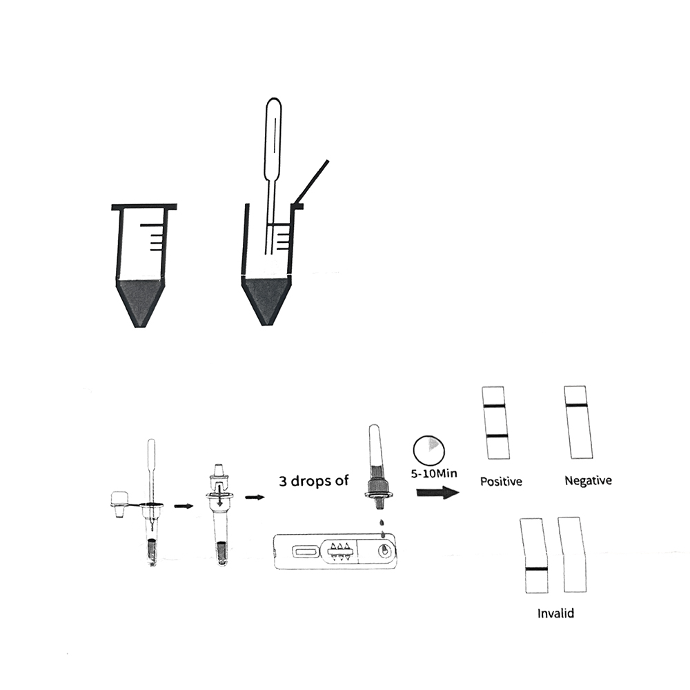 Professional Pet Dog Gravidez  - Urine Analyzer Strip avaliação e preço